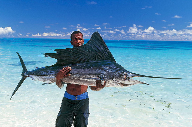 Рыбалка в открытом море на Маврикии