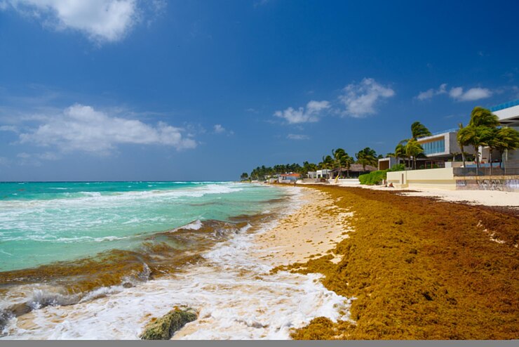 Песчаный пляж в солнечный день с отелями в плайя-дель-кармен, мексика