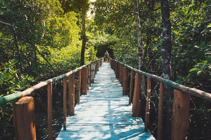 мост в джунглях